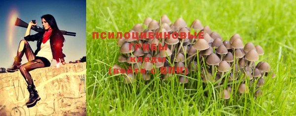 mix Осташков