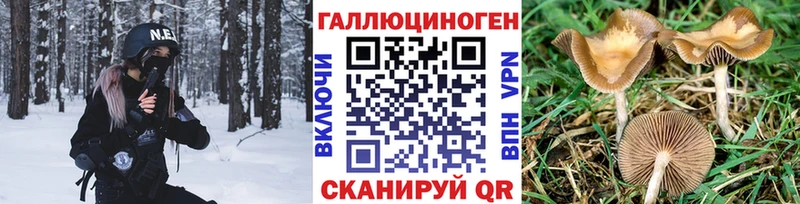 Галлюциногенные грибы ЛСД  купить наркотики цена  Кизилюрт 