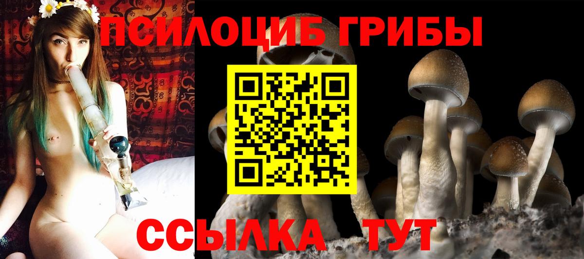 Псилоцибиновые грибы Psilocybe  Вход с VPN  Псилоцибиновые грибы Magic Shrooms  Кизилюрт 