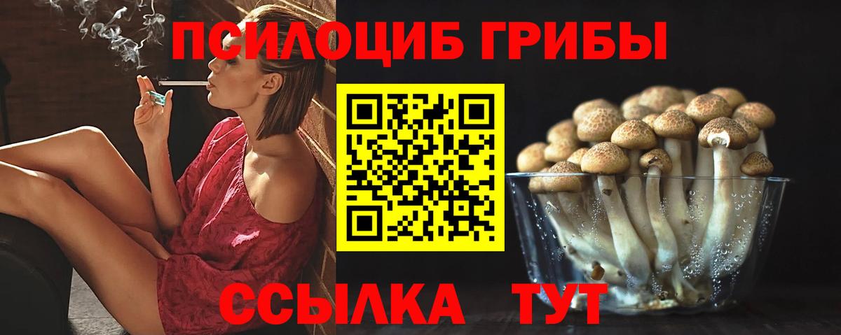 Псилоцибиновые грибы Cubensis Кизилюрт
