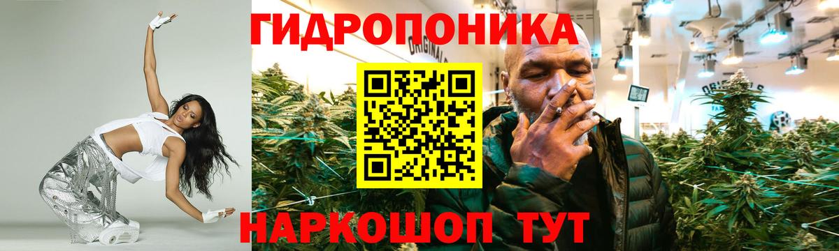 Конопля планчик Кизилюрт